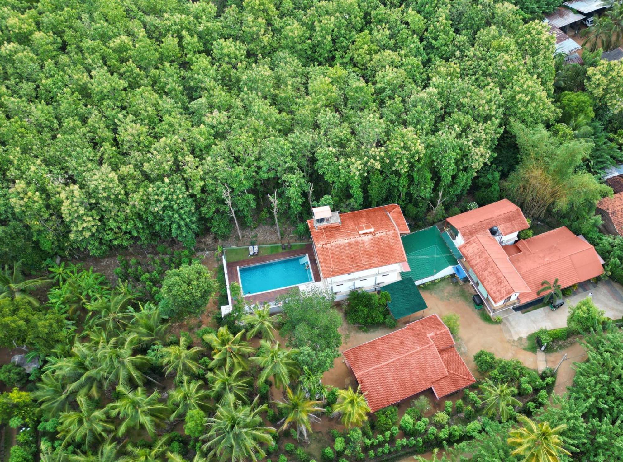 Nature House Hotel Udawalawe Exterior foto